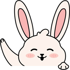 Bunny Face Illustration