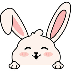 Bunny Face Illustration