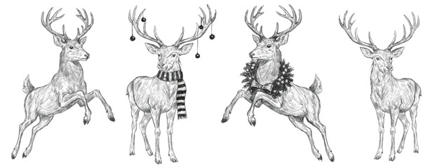 Vector Christmas deers a scarf scribble isolated on white background Freehand set. Texture of writing materials. Handwritten christmases reindeer doodles and pencil strokes.  © Julia