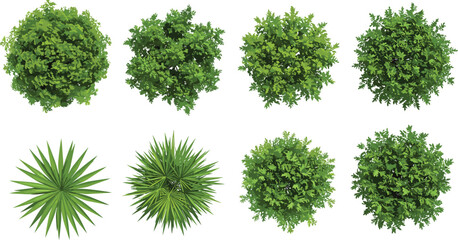 Top view green shrubs, plant foliage icons, spiky leaves, landscape design, botanical illustration, garden planning, nature pattern, architecture visualization, vector set