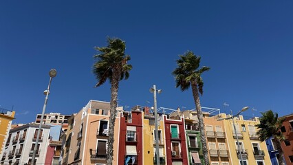 Vibrant Townscape under Clear Skies: A charming vista of brightly painted buildings set against the backdrop of a perfect blue sky, creating a cheerful scene. 