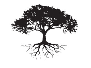 Majestic Riverbank Tree With Roots 2D Vector Line Art Silhouette Illustration © beauti