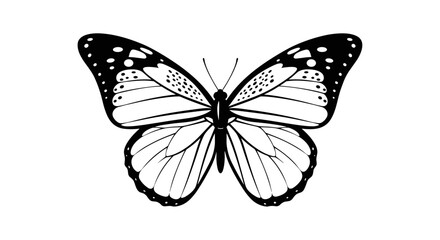 Elegant Black and White Butterfly Illustration Isolated on White.