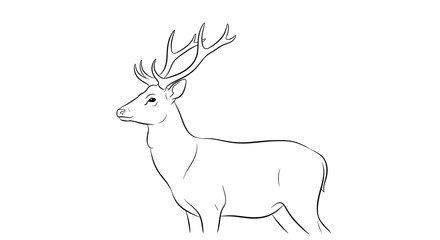 Elegant Deer Illustration with Majestic Antlers.