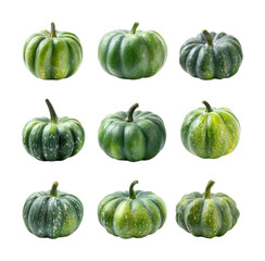 Harvesting green pumpkins farm field food nature isolated on transparent background