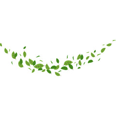 Flying Leaf Illustration
