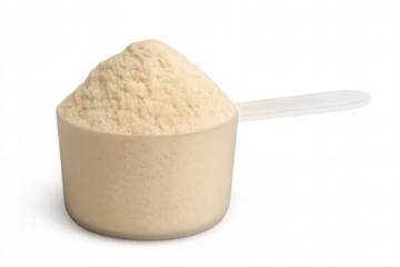 Protein powder scoop with creamy vanilla flavor for fitness, sports nutrition, and bodybuilding goals