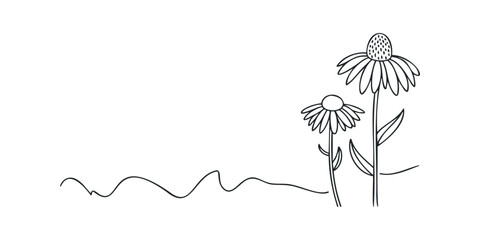 Line drawing of two coneflowers with wavy ground