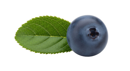 Isolated blueberry with leaf, antioxidant superfood, healthy fruit, organic produce