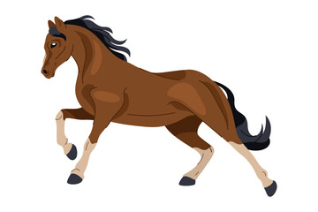 Hackney british horse or english animal breed. Vector purebred mammal with hoof and mane. Equestrian movement or motion. Mare for carriage driving or muscular broodmare with stamina run. Equine icon.