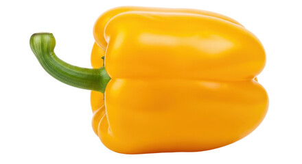 Isolated yellow bell pepper with stem, vibrant color, fresh vegetable from the garden, raw produce