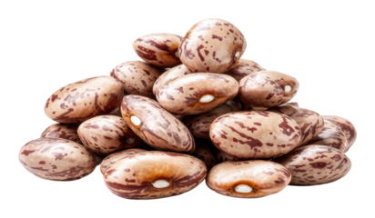 Harvesting pinto beans farm field food natural isolated on transparent background