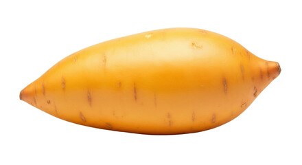 Isolated raw sweet potato, a root vegetable often baked, boiled, or fried for cooking delicious meals