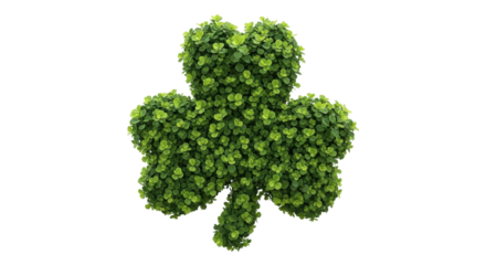 Isolated four leaf clover lush foliage, a symbol of good luck and Saint Patrick's Day luck