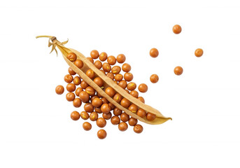 Brown peas spilling from pod isolated on a transparent background