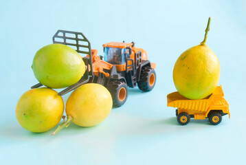 Toy forklift and dump truck loading ripe limes on light blue background, symbolizing harvest logistics and fruit transport concept. Photo