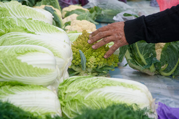 A farmer’s rough hand touches fresh cabbage and romanesco at a local market stall, symbolizing organic harvest and street vegetable trade. Photo
