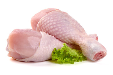 Raw Chicken Drumsticks with Lettuce, isolated on white background