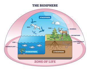 Biosphere diagram explaining life zones across atmosphere, hydrosphere and lithosphere, key objects, tree, fish, bird. Outline diagram