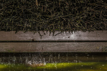 WATER AND GRADUATION TOWER  - Splashes of drops falling on the water surface