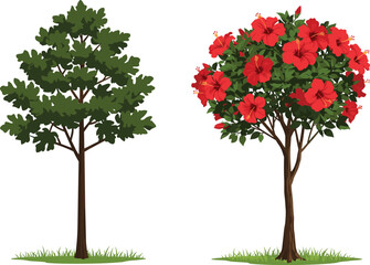 Obraz premium Deciduous tree with green foliage, hibiscus flowering tree, red blossoms, seasonal contrast, nature diversity, garden scene, outdoor landscape, flora