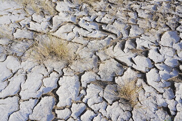 The dry and cracked soil cracked open