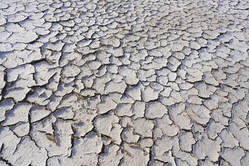 The dry and cracked soil cracked open