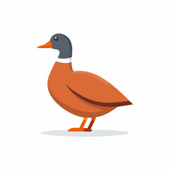 Obraz premium Simple Illustration of a Mallard Duck with Brown Body, Isolated