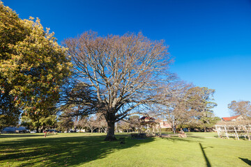 Town of Braidwood in Australia