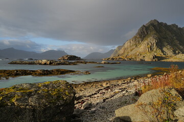 Fototapete bei efototapeten.de bestellen   