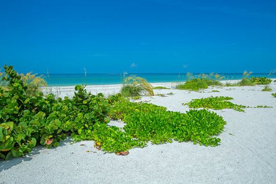 Tigertail Beach at Marco Island, Florida