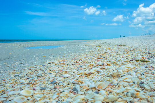 Tigertail Beach at Marco Island, Florida