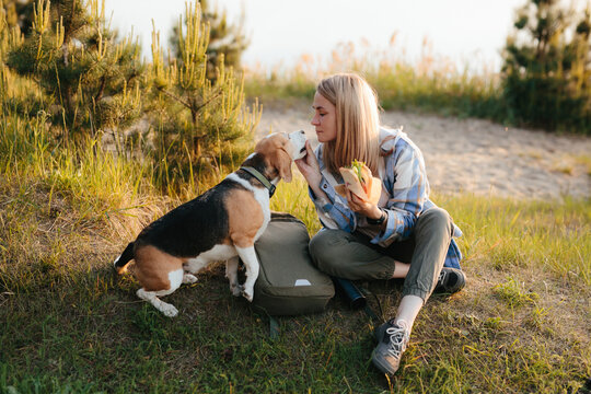 Woman relaxing outdoors with beagle during hiking trip showing affection