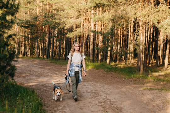 Woman walking with dog on forest path enjoying nature and companionship