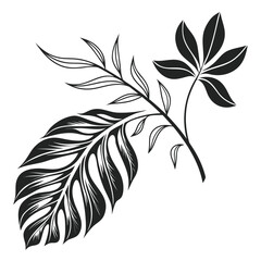 Elegant black and white illustration of tropical leaves, showcasing a botanical design with a minimalist aesthetic, perfect for various creative projects