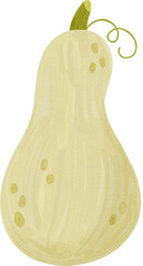 Butternut squash pumpkin