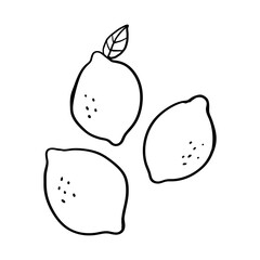 Hand Drawn Lemon Doodle