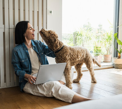 Woman with laptop petting dog at home