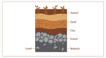Vector illustration of soil layers, showing different strata of rock, sand and clay, white background