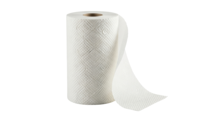 Isolated roll of absorbent household paper towels for kitchen cleanup and hygiene tasks