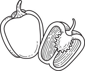 Bell Pepper Line Art Illustration. Whole and Sliced Capsicum Drawing. Vegetable outline with seeds.