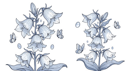 A delicate illustration of two bellflower clusters with swirling butterflies and tiny dewdrop accents.