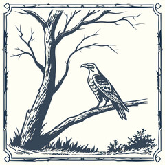 A majestic hawk perches on a bare branch of a leafless tree in a stylized illustration with a decorative border © Bs