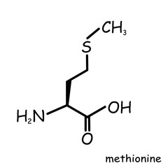 The Chemical structure of methionine