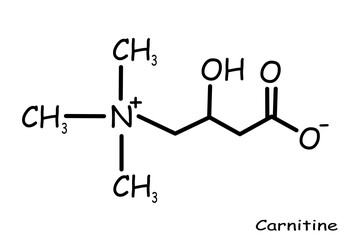 The Chemical structure of carnitine