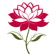 bloom flower line art on white background