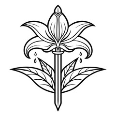sword lily flower line art on white background