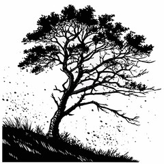 Dramatic silhouette of a windswept pine tree with textured branches and scattered ink splatters against a white background