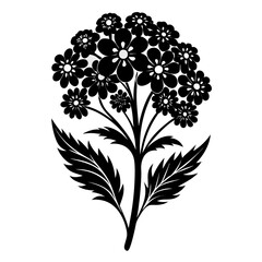black and white flowers, yarrow flower silhouette on white background
