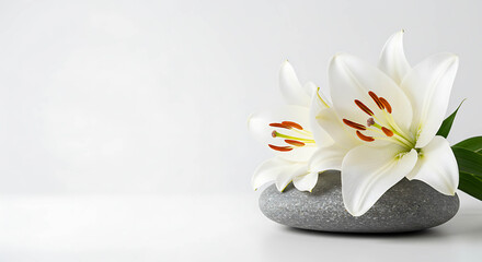 Elegant white lilies arranged on smooth gray stone in minimal style  